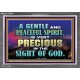 GENTLE AND PEACEFUL SPIRIT VERY PRECIOUS IN GOD SIGHT  Bible Verses to Encourage  Acrylic Frame  GWEXALT10496  