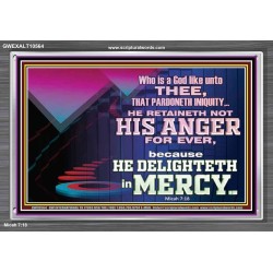 THE LORD DELIGHTETH IN MERCY  Contemporary Christian Wall Art Acrylic Frame  GWEXALT10564  "33X25"