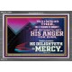 THE LORD DELIGHTETH IN MERCY  Contemporary Christian Wall Art Acrylic Frame  GWEXALT10564  