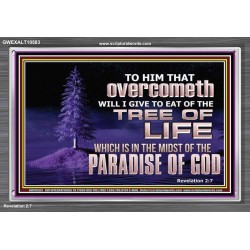 HE THAT OVERCOMETH  Bible Verse Acrylic Frame  GWEXALT10583  "33X25"