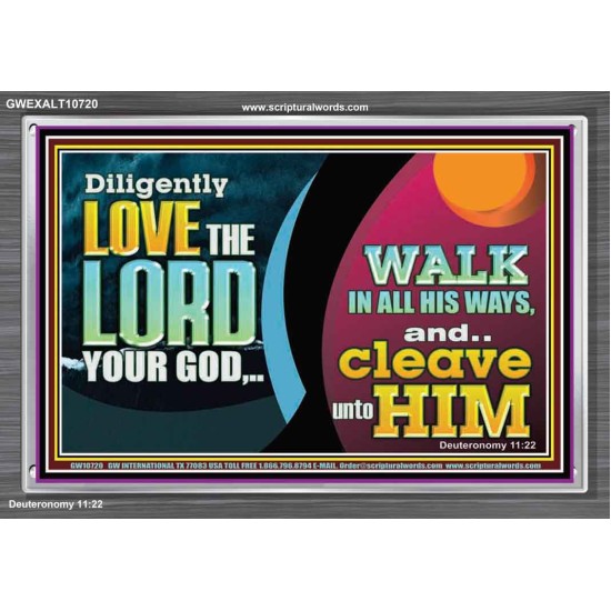 DILIGENTLY LOVE THE LORD WALK IN ALL HIS WAYS  Unique Scriptural Acrylic Frame  GWEXALT10720  