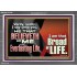 HE THAT BELIEVETH ON ME HATH EVERLASTING LIFE  Contemporary Christian Wall Art  GWEXALT10758  "33X25"