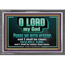PURGE ME WITH HYSSOP AND I SHALL BE CLEAN  Biblical Art Acrylic Frame  GWEXALT11736  "33X25"