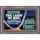 THE LAMB OF GOD THAT TAKETH AWAY THE SIN OF THE WORLD  Unique Power Bible Acrylic Frame  GWEXALT12037  