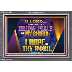 THOU ART MY HIDING PLACE AND SHIELD  Bible Verses Wall Art Acrylic Frame  GWEXALT12045  "33X25"