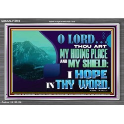 THOU ART MY HIDING PLACE AND SHIELD  Large Custom Acrylic Frame   GWEXALT12159  "33X25"