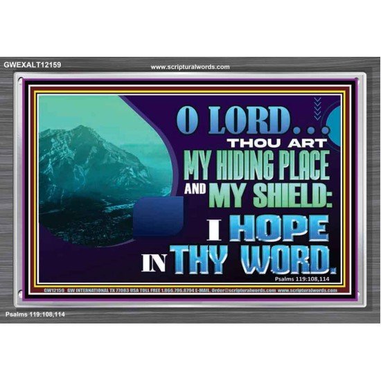 THOU ART MY HIDING PLACE AND SHIELD  Large Custom Acrylic Frame   GWEXALT12159  