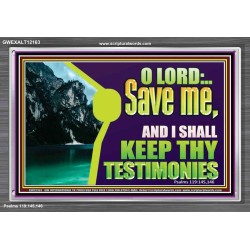 SAVE ME AND I SHALL KEEP THY TESTIMONIES  Inspirational Bible Verses Acrylic Frame  GWEXALT12163  