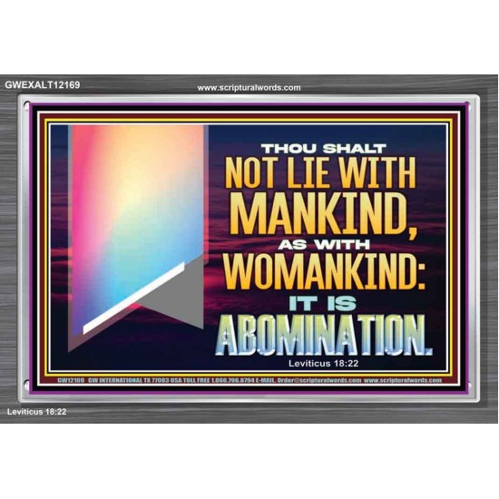 THOU SHALT NOT LIE WITH MANKIND AS WITH WOMANKIND IT IS ABOMINATION  Bible Verse for Home Acrylic Frame  GWEXALT12169  