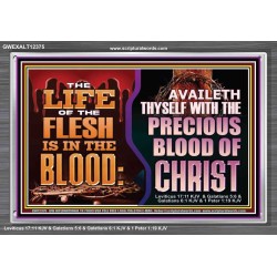 AVAILETH THYSELF WITH THE PRECIOUS BLOOD OF CHRIST  Children Room  GWEXALT12375  "33X25"