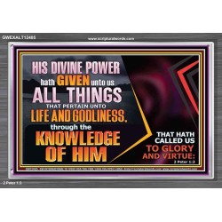 HIS DIVINE POWER HATH GIVEN UNTO US ALL THINGS  Eternal Power Acrylic Frame  GWEXALT12405  "33X25"