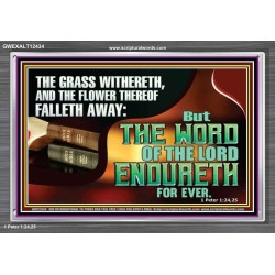 THE WORD OF THE LORD ENDURETH FOR EVER  Sanctuary Wall Acrylic Frame  GWEXALT12434  "33X25"