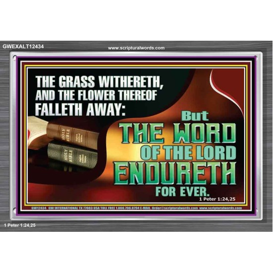 THE WORD OF THE LORD ENDURETH FOR EVER  Sanctuary Wall Acrylic Frame  GWEXALT12434  