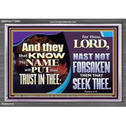 THEY THAT KNOW THY NAME WILL NOT BE FORSAKEN  Biblical Art Glass Acrylic Frame  GWEXALT12983  "33X25"