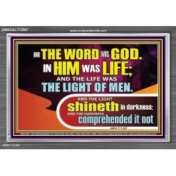 THE LIGHT SHINETH IN DARKNESS YET THE DARKNESS DID NOT OVERCOME IT  Ultimate Power Picture  GWEXALT12987  "33X25"