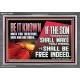 IF THE SON THEREFORE SHALL MAKE YOU FREE  Ultimate Inspirational Wall Art Acrylic Frame  GWEXALT13066  