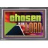 CHOSEN IN THE LORD  Wall Décor Acrylic Frame  GWEXALT13099  "33X25"