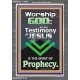 TESTIMONY OF JESUS IS THE SPIRIT OF PROPHECY  Kitchen Wall Décor  GWEXALT10046  