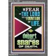 THE FEAR OF THE LORD IS THE FOUNTAIN OF LIFE  Large Scripture Wall Art  GWEXALT11966  