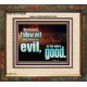 FOLLOW NOT WHICH IS EVIL  Custom Christian Artwork Portrait  GWFAITH10309  