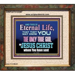 CHRIST JESUS THE ONLY WAY TO ETERNAL LIFE  Sanctuary Wall Portrait  GWFAITH10397  "18X16"