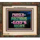 CHOSEN AND PRECIOUS IN THE SIGHT OF GOD  Modern Christian Wall Décor Portrait  GWFAITH10494  