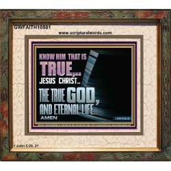JESUS CHRIST THE TRUE GOD AND ETERNAL LIFE  Christian Wall Art  GWFAITH10581  "18X16"
