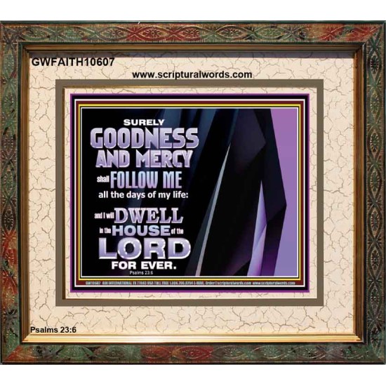 SURELY GOODNESS AND MERCY SHALL FOLLOW ME  Custom Wall Scripture Art  GWFAITH10607  