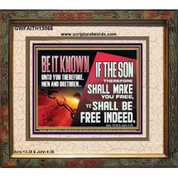IF THE SON THEREFORE SHALL MAKE YOU FREE  Ultimate Inspirational Wall Art Portrait  GWFAITH13066  "18X16"