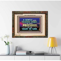 GENTLE AND PEACEFUL SPIRIT VERY PRECIOUS IN GOD SIGHT  Bible Verses to Encourage  Portrait  GWFAITH10496  "18X16"