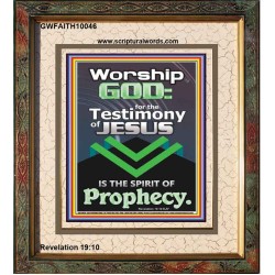 TESTIMONY OF JESUS IS THE SPIRIT OF PROPHECY  Kitchen Wall Décor  GWFAITH10046  "16x18"