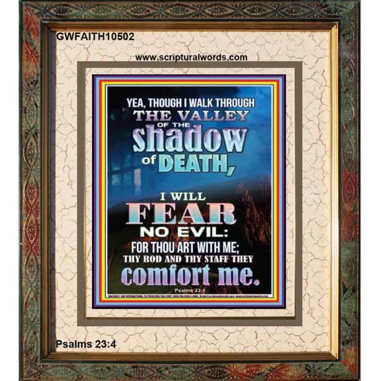 WALK THROUGH THE VALLEY OF THE SHADOW OF DEATH  Scripture Art  GWFAITH10502  