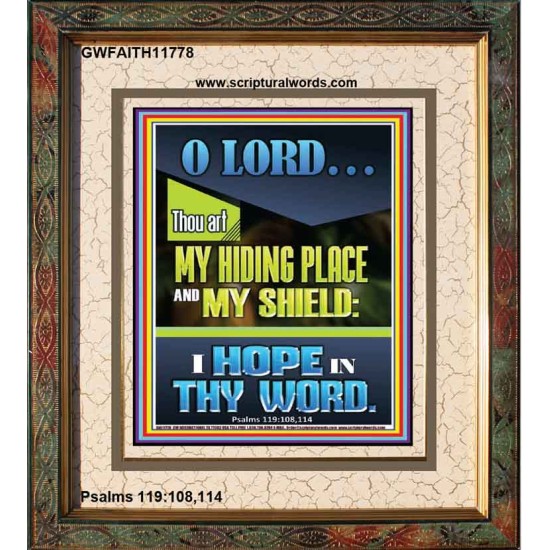 JEHOVAH OUR HIDING PLACE AND SHIELD  Encouraging Bible Verses Portrait  GWFAITH11778  