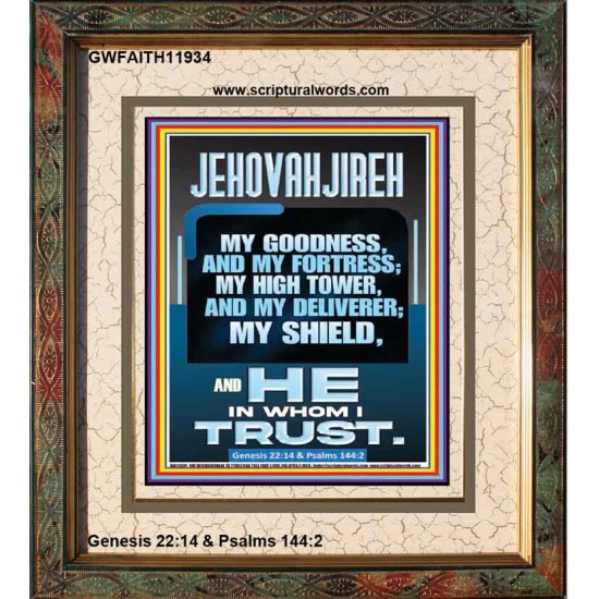 JEHOVAH JIREH MY GOODNESS MY FORTRESS MY HIGH TOWER MY DELIVERER MY SHIELD  Sanctuary Wall Portrait  GWFAITH11934  