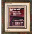 AND GOD SAID LET THERE BE LIGHT  Christian Quotes Portrait  GWFAITH11995  "16x18"