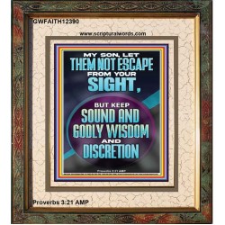 KEEP SOUND AND GODLY WISDOM AND DISCRETION  Bible Verse for Home Portrait  GWFAITH12390  "16x18"