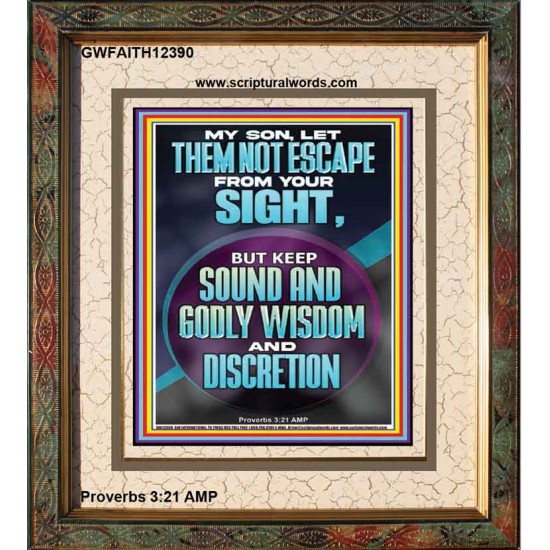 KEEP SOUND AND GODLY WISDOM AND DISCRETION  Bible Verse for Home Portrait  GWFAITH12390  