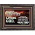 TURN FROM THESE VANITIES TO THE LIVING GOD JEHOVAH  Unique Scriptural Wooden Frame  GWFAVOUR10363  "45X33"