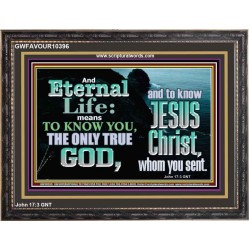 ETERNAL LIFE ONLY THROUGH CHRIST JESUS  Children Room  GWFAVOUR10396  "45X33"