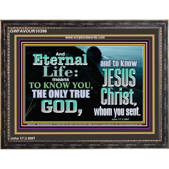 ETERNAL LIFE ONLY THROUGH CHRIST JESUS  Children Room  GWFAVOUR10396  