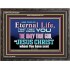 CHRIST JESUS THE ONLY WAY TO ETERNAL LIFE  Sanctuary Wall Wooden Frame  GWFAVOUR10397  "45X33"