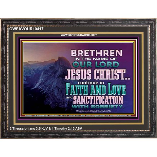 CONTINUE IN FAITH LOVE AND SANCTIFICATION WITH SOBRIETY  Unique Scriptural Wooden Frame  GWFAVOUR10417  