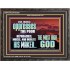 OPRRESSING THE POOR IS AGAINST THE WILL OF GOD  Large Scripture Wall Art  GWFAVOUR10429  "45X33"