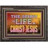 SPIRIT OF LIFE IN CHRIST JESUS  Scripture Wall Art  GWFAVOUR10434  "45X33"