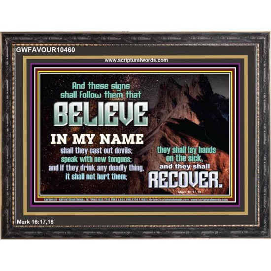IN MY NAME SHALL THEY CAST OUT DEVILS  Christian Quotes Wooden Frame  GWFAVOUR10460  