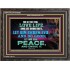 SEEK AND PURSUE PEACE  Biblical Paintings Wooden Frame  GWFAVOUR10485B  "45X33"