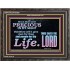 YOU ARE PRECIOUS IN THE SIGHT OF THE LIVING GOD  Modern Christian Wall Décor  GWFAVOUR10490  "45X33"