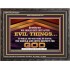 DO NOT LUST AFTER EVIL THINGS  Children Room Wall Wooden Frame  GWFAVOUR10527  "45X33"