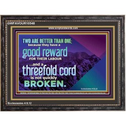 TWO ARE BETTER THAN ONE  Contemporary Christian Wall Art Wooden Frame  GWFAVOUR10548  "45X33"