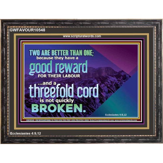 TWO ARE BETTER THAN ONE  Contemporary Christian Wall Art Wooden Frame  GWFAVOUR10548  